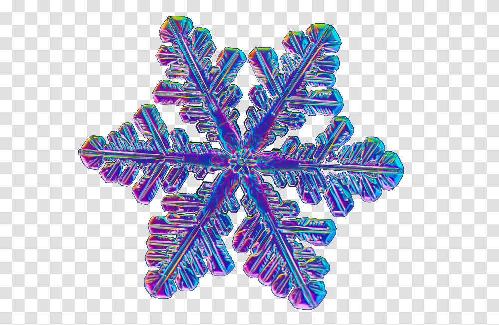 Trippyrainbow Snowflake This Was Requested Ion Trippy Snowflake, Purple, Pattern, Ornament Transparent Png