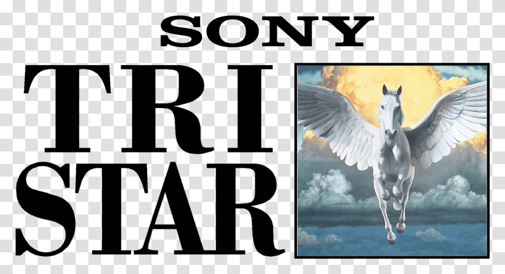Tristar Pictures Logo, Bird, Animal, Horse, Mammal Transparent Png