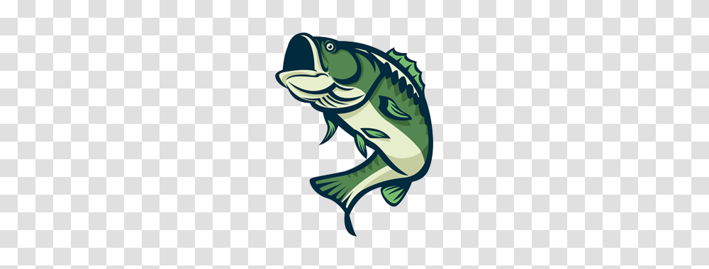Tristate Bass Club A Tournament Bass Fishing Club For Ga, Animal, Sea Life, Reptile, Amphibian Transparent Png
