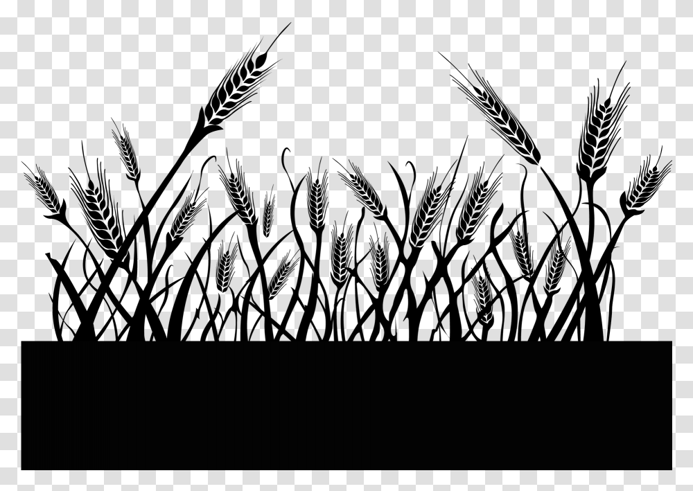 Triticale Download Triticale, Gray, World Of Warcraft Transparent Png