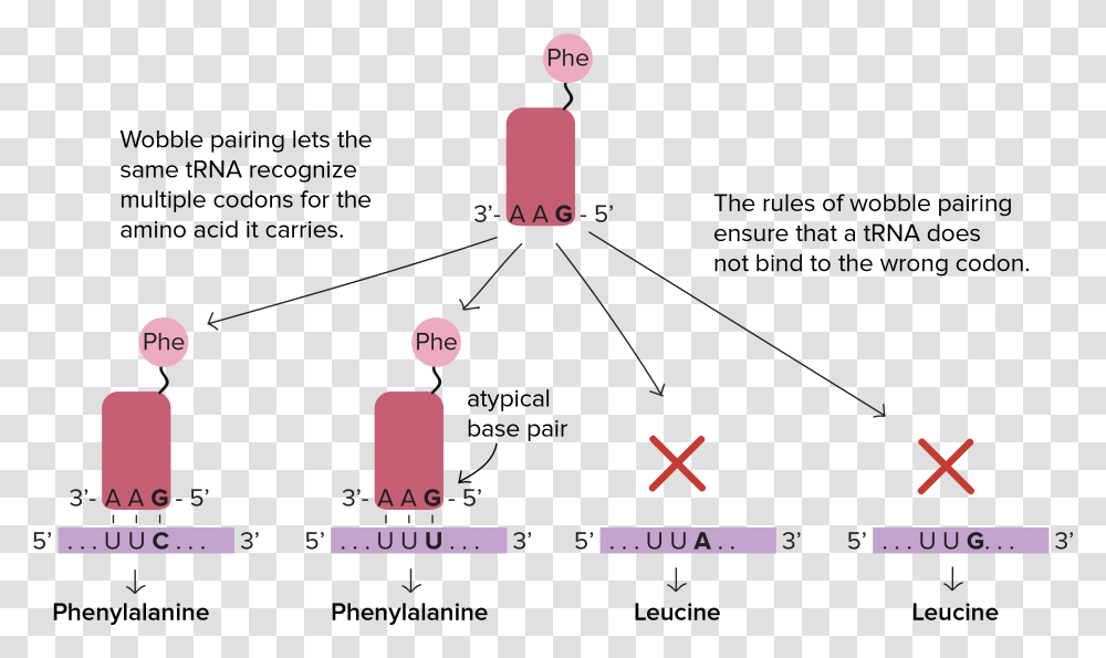 Trna Reads 5 To, Outdoors, Nature, Plot, Highway Transparent Png