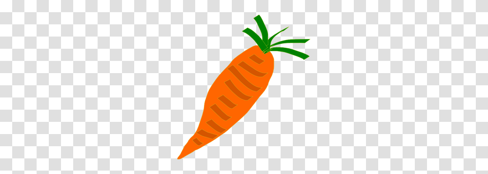 Trnsltlife Carrot Clip Arts For Web, Plant, Vegetable, Food Transparent Png