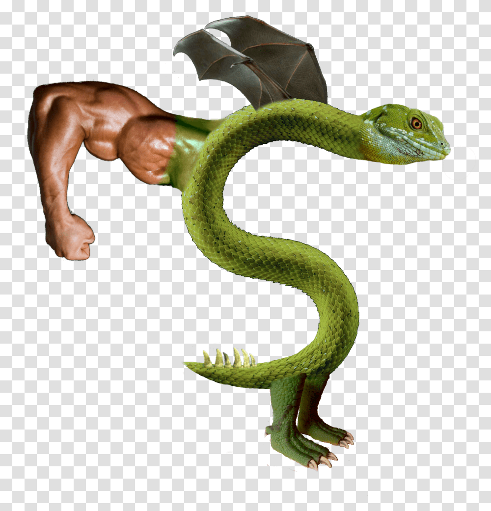 Trogdor Trogdor Hd, Lizard, Reptile, Animal, Snake Transparent Png