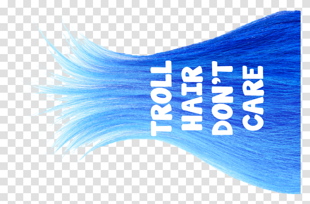 Troll Hair Donquott Care Photo Booth Prop Troll Birthday Troll Hair Dont Care, Water, Outdoors Transparent Png