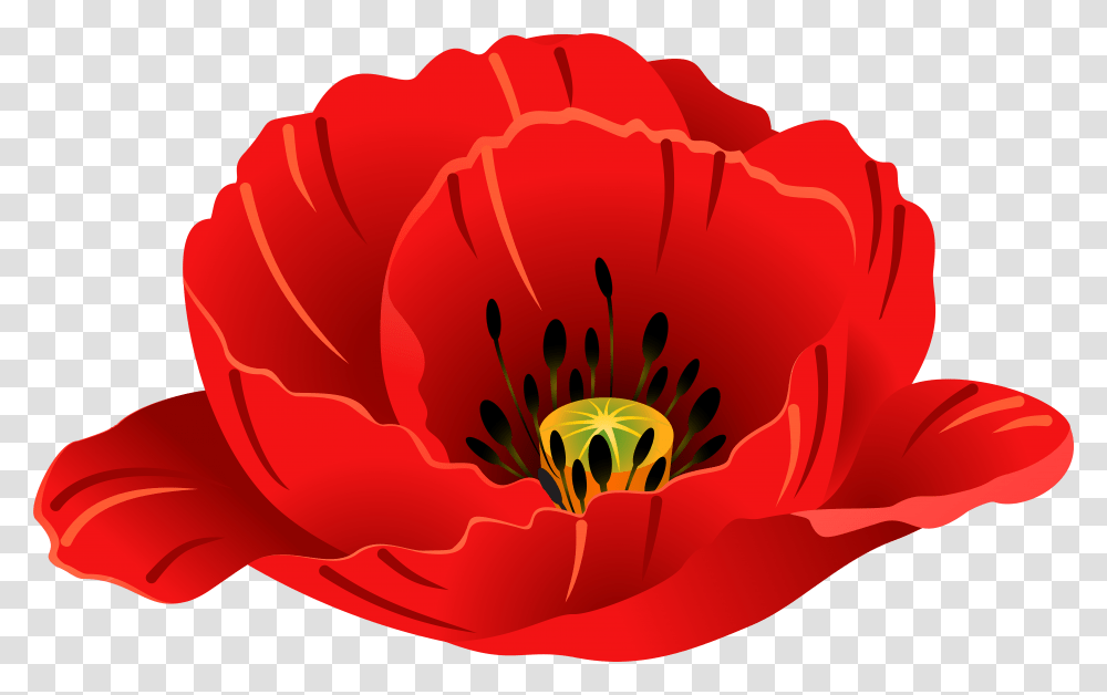 Trolls Poppy Poppy Single Flower Background, Plant, Blossom, Pollen, Petal Transparent Png