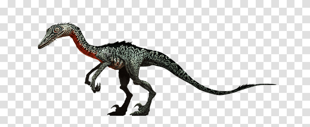 Troodon Jurassic Park Wiki Fandom Powered, Lizard, Reptile, Animal, Dinosaur Transparent Png