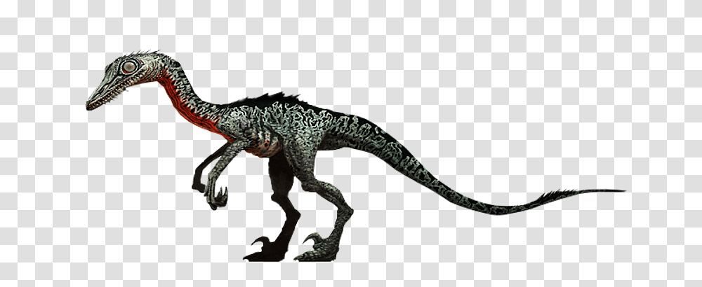 Troodon Jurassic Park Wiki Fandom Powered, Lizard, Reptile, Animal ...