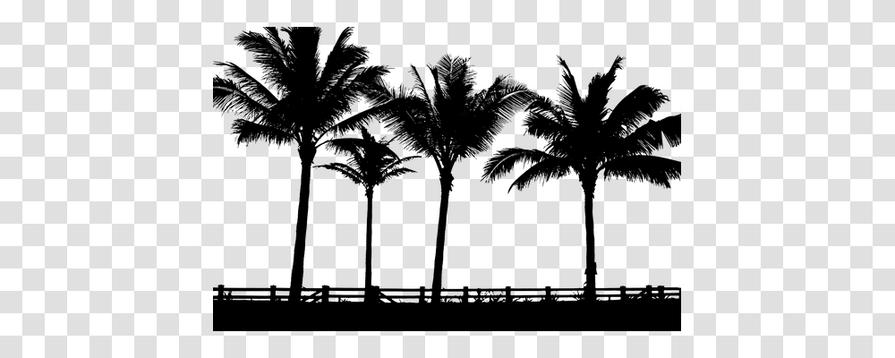 Tropical Nature, Gray, World Of Warcraft Transparent Png