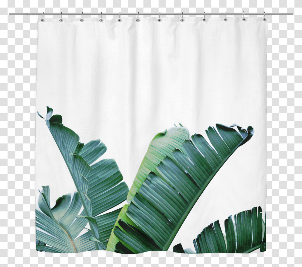 Tropical Banana Leaf Plant, Curtain, Shower Curtain, Bird, Animal Transparent Png