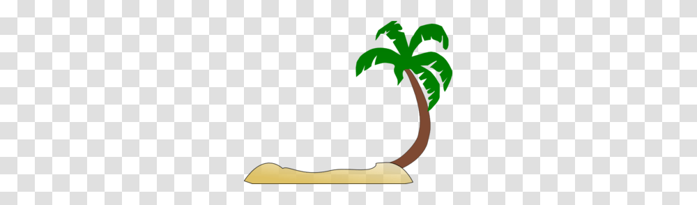 Tropical Beach Clipart, Plant, Animal, Flower, Tree Transparent Png