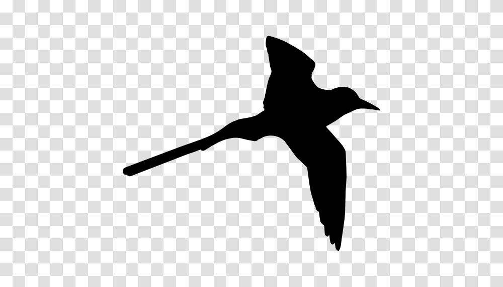 Tropical Bird Shape Of Long Tail, Silhouette, Flying, Animal, Stencil Transparent Png