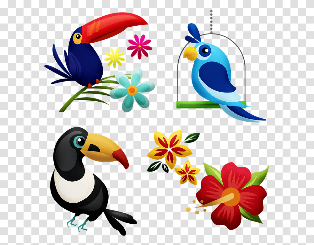 Tropical Birds Toucan Hibiscus Bird Rainforest Hornbill Beach Outfit Layout, Animal, Graphics, Art, Beak Transparent Png