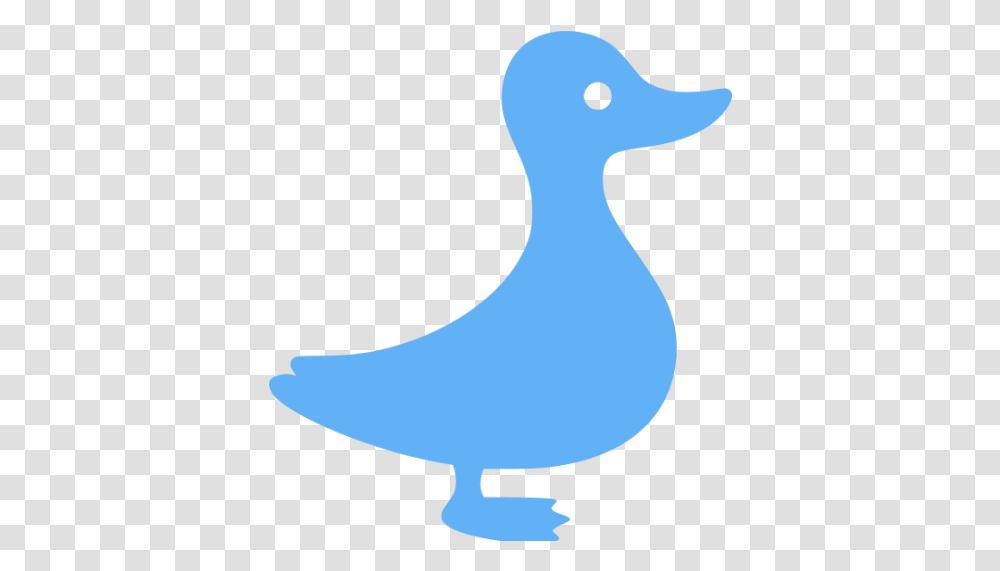 Tropical Blue Duck Icon Animal Figure, Bird, Goose, Beak, Balloon Transparent Png