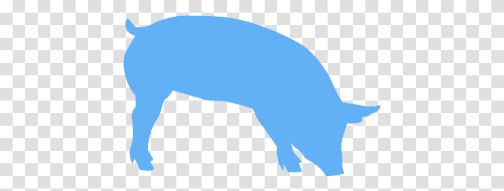 Tropical Blue Pig 7 Icon Free Tropical Blue Animal Icons Silhouette Of A Pig, Mammal, Wildlife, Sea Life, Aardvark Transparent Png