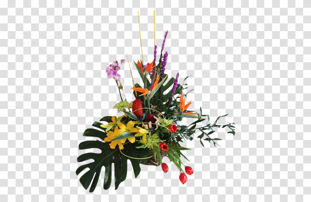Tropical Bouquet, Plant, Flower, Blossom, Ikebana Transparent Png