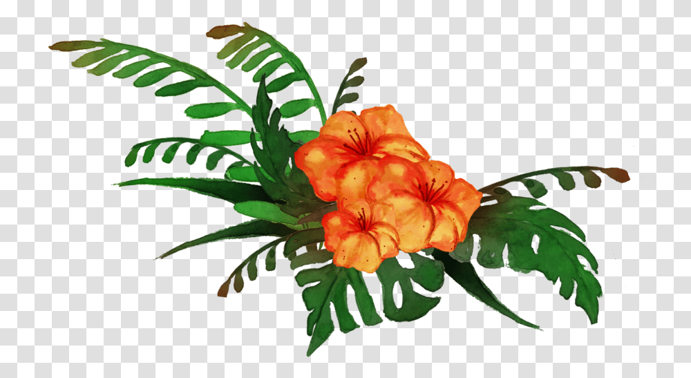 Tropical Clip Art Background Tropical Plants, Flower, Blossom, Geranium, Animal Transparent Png
