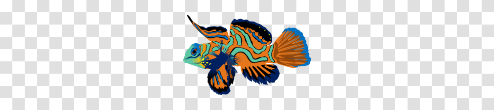 Tropical Clipart, Animal, Fish, Water, Amphiprion Transparent Png
