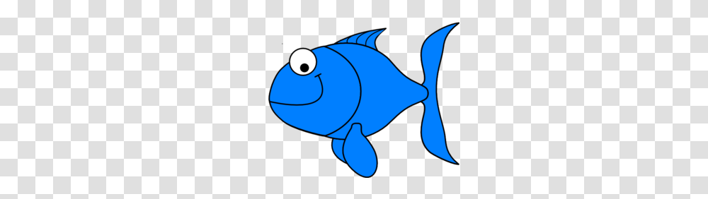 Tropical Clipart, Animal, Shark, Sea Life, Fish Transparent Png