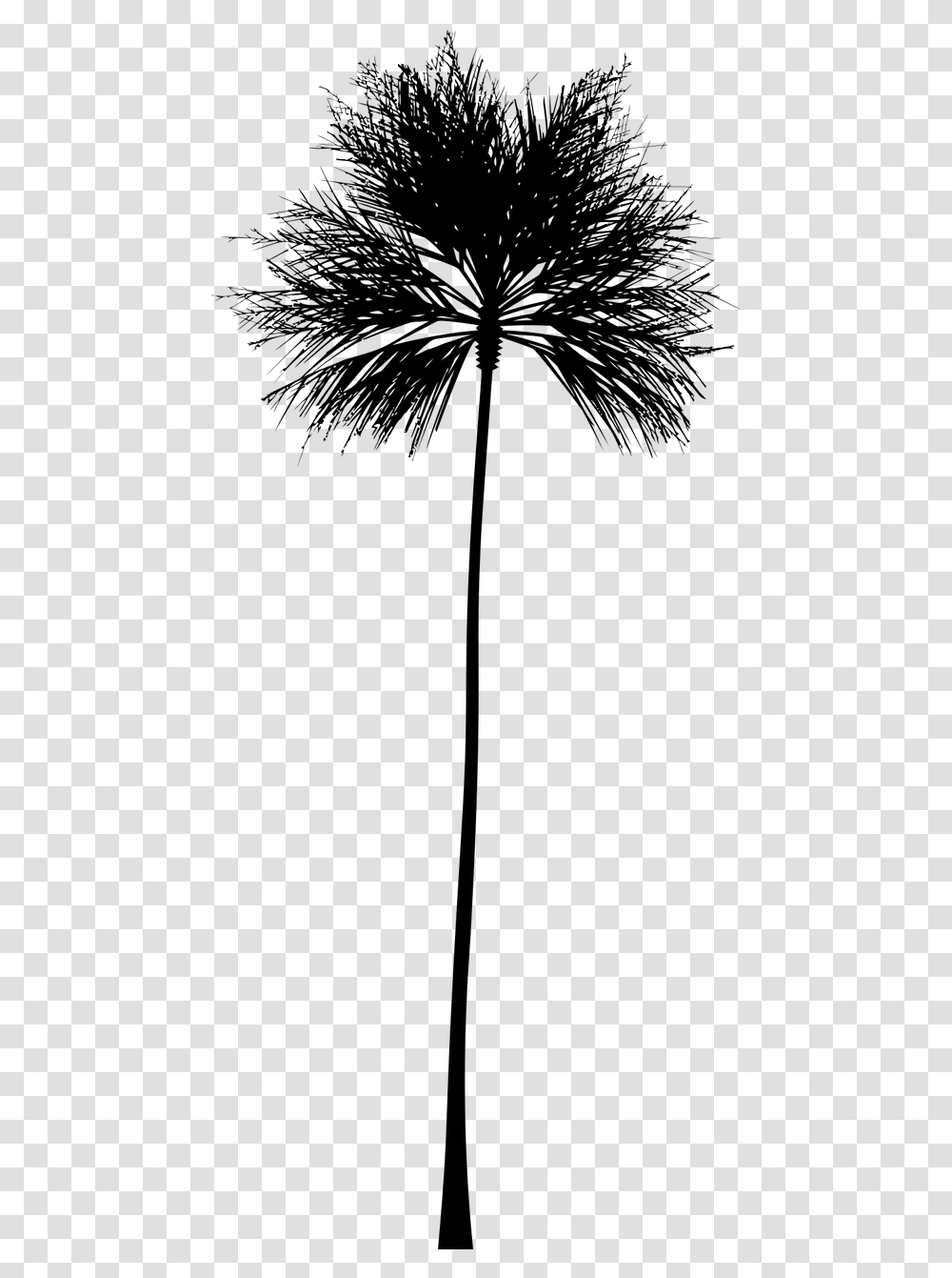 Tropical Clipart Black And White Do A Palm Tree Silhouette, Gray, World Of Warcraft Transparent Png