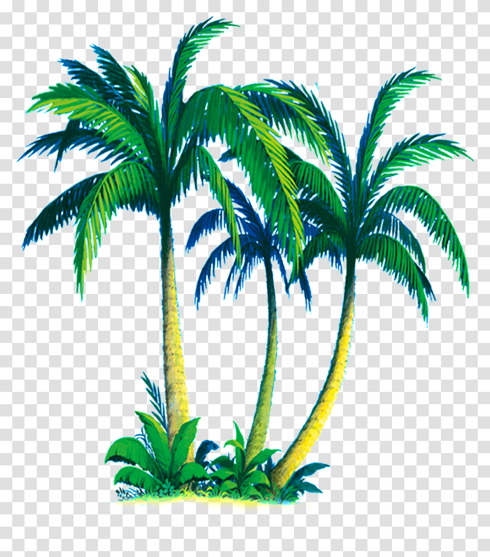 Tropical Coconut Tree Free Download Vector, Plant, Palm Tree, Arecaceae, Fruit Transparent Png