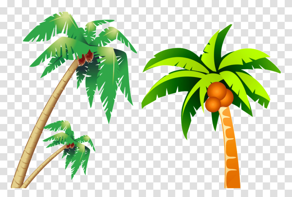 Tropical Coconut Tree Picture Clip Art Coconut Tree, Plant, Green, Vegetation, Leaf Transparent Png