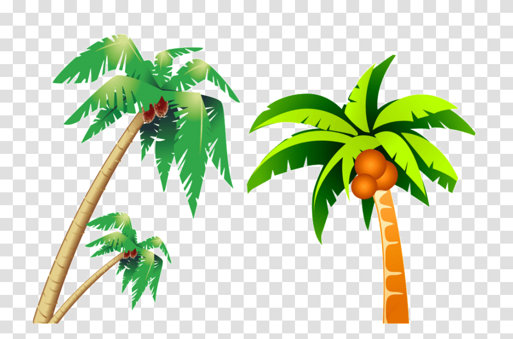 Tropical Coconut Tree Picture Free Download Vector, Plant, Vegetation, Rainforest, Outdoors Transparent Png