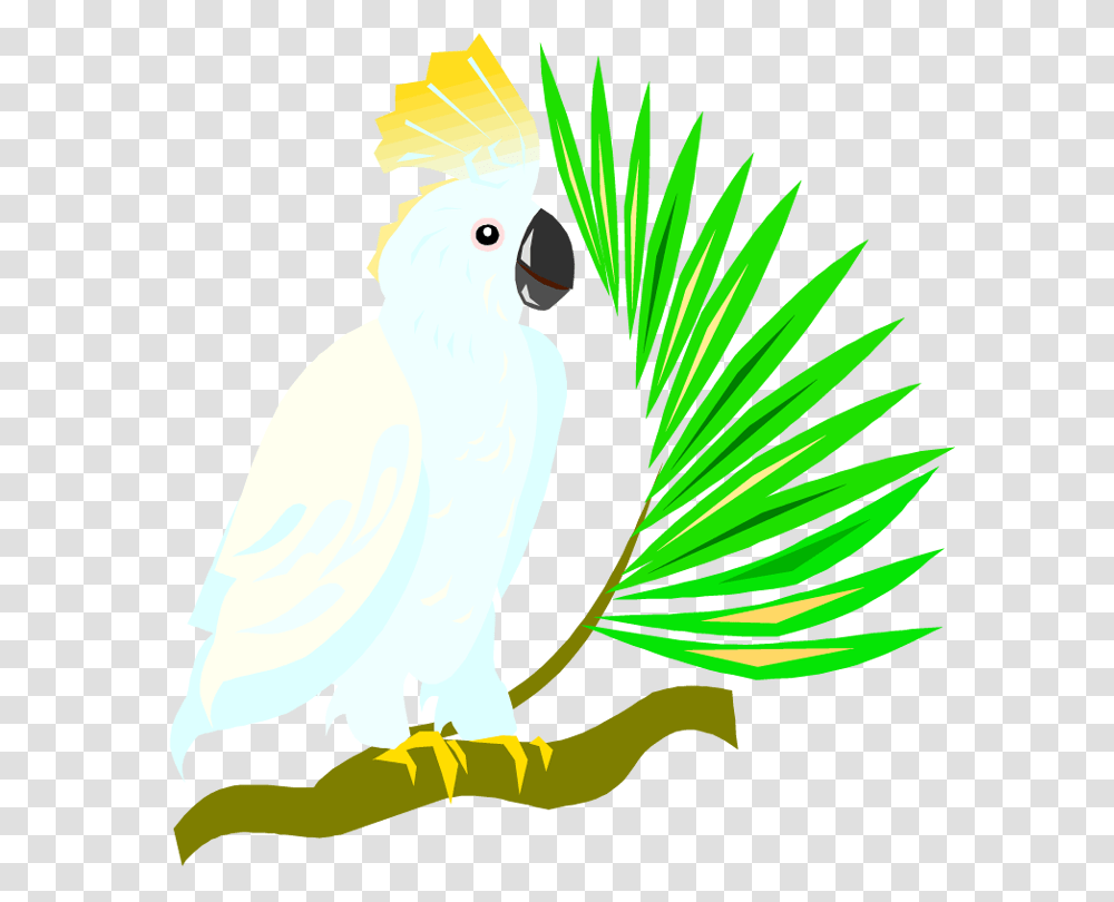 Tropical Drink Clip Art, Bird, Animal, Cockatoo Transparent Png