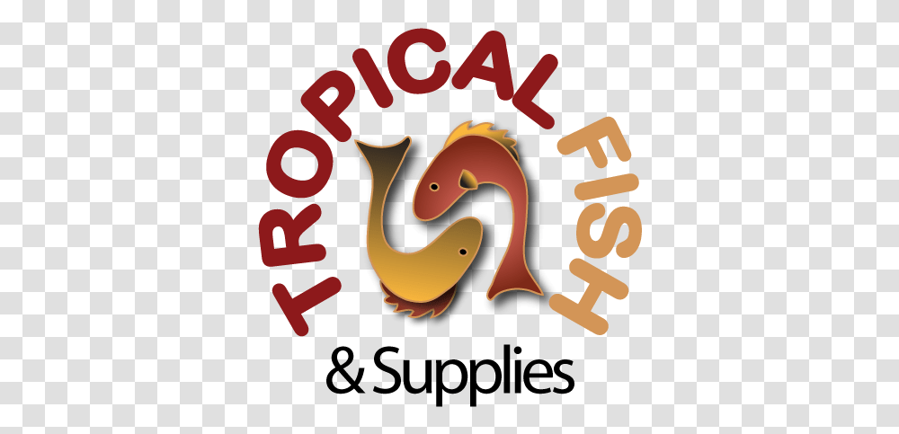 Tropical Fish, Animal, Bird, Text, Poster Transparent Png