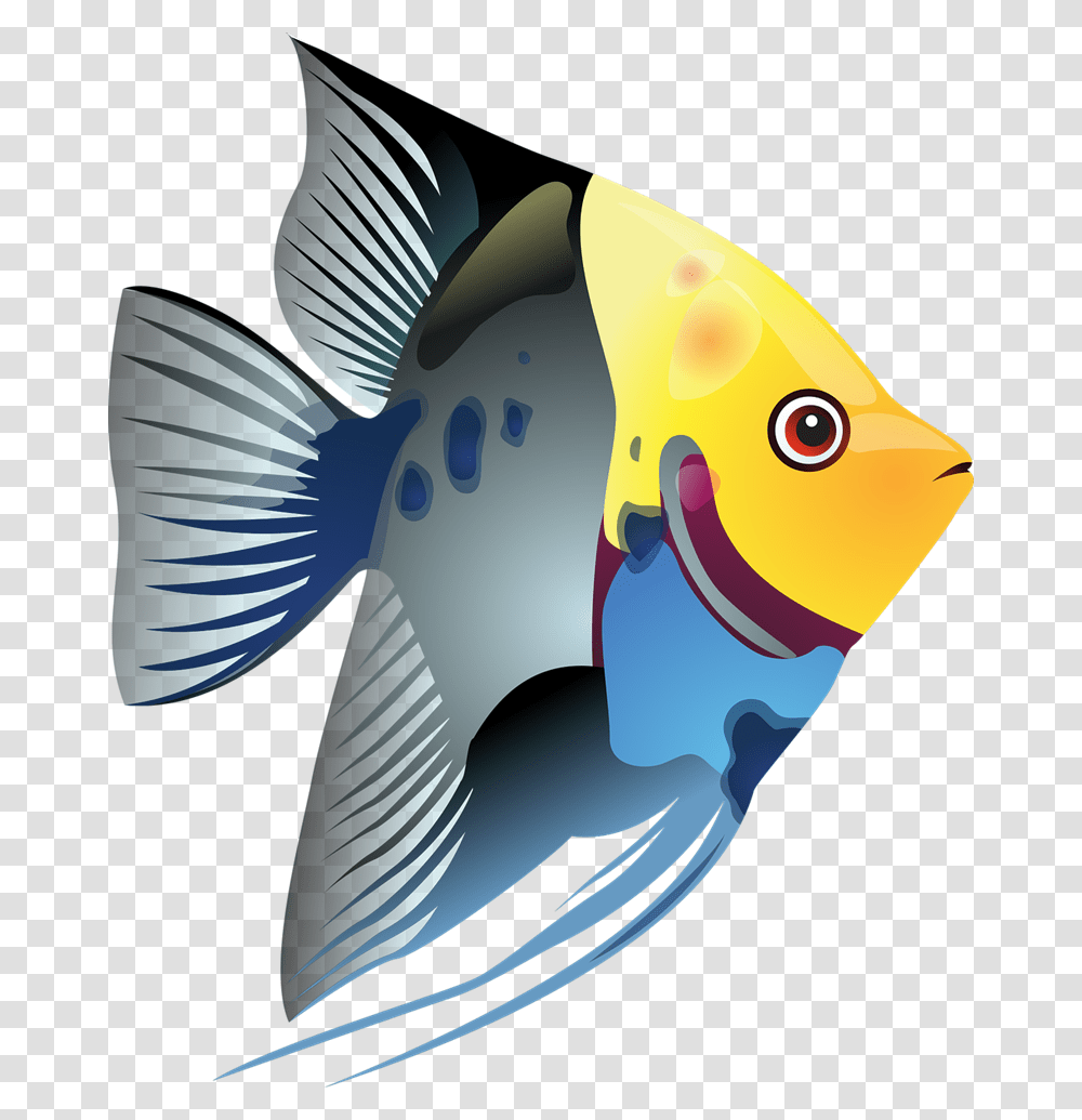 Tropical Fish Clip Art Look, Animal, Sea Life, Bird, Angelfish Transparent Png