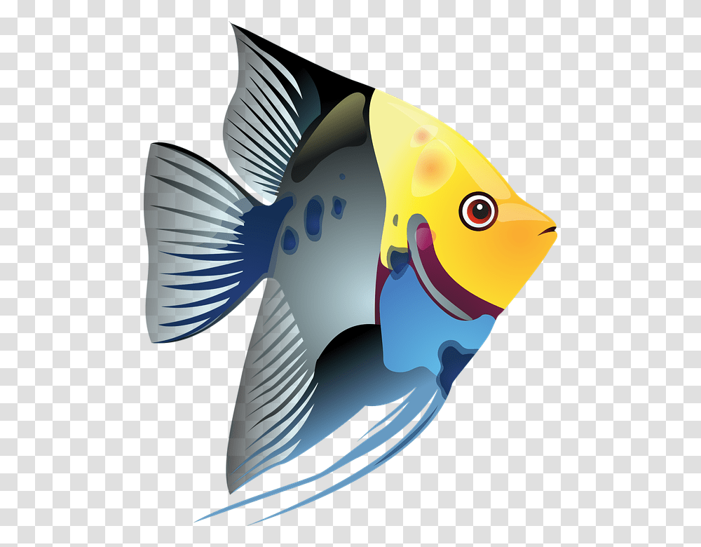 Tropical Fish Clipart, Animal, Angelfish, Sea Life, Amphiprion Transparent Png