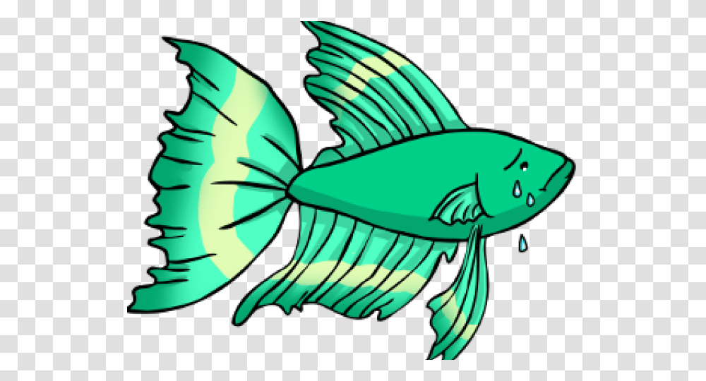 Tropical Fish Clipart Betta Fish, Animal, Aquatic, Water, Sea Life Transparent Png