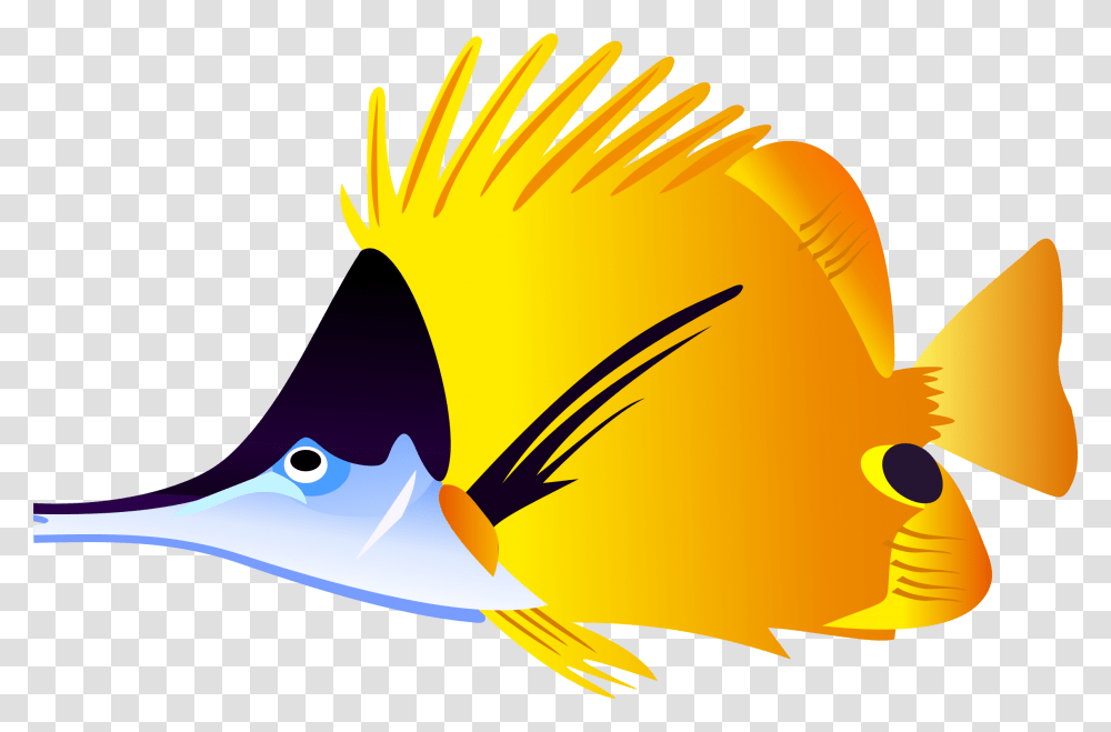 Tropical Fish Clipart Cartoon, Animal, Sea Life, Angelfish, Rock Beauty Transparent Png
