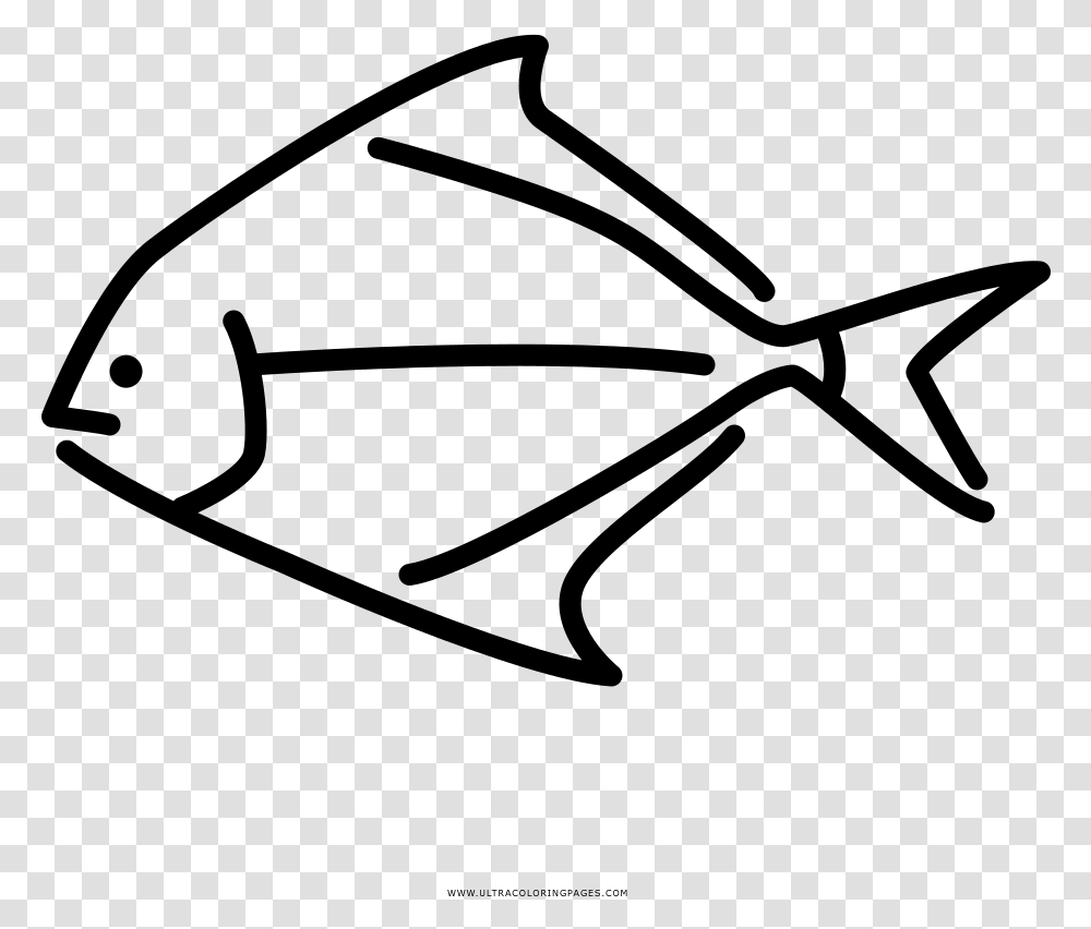 Tropical Fish Coloring, Gray, World Of Warcraft Transparent Png