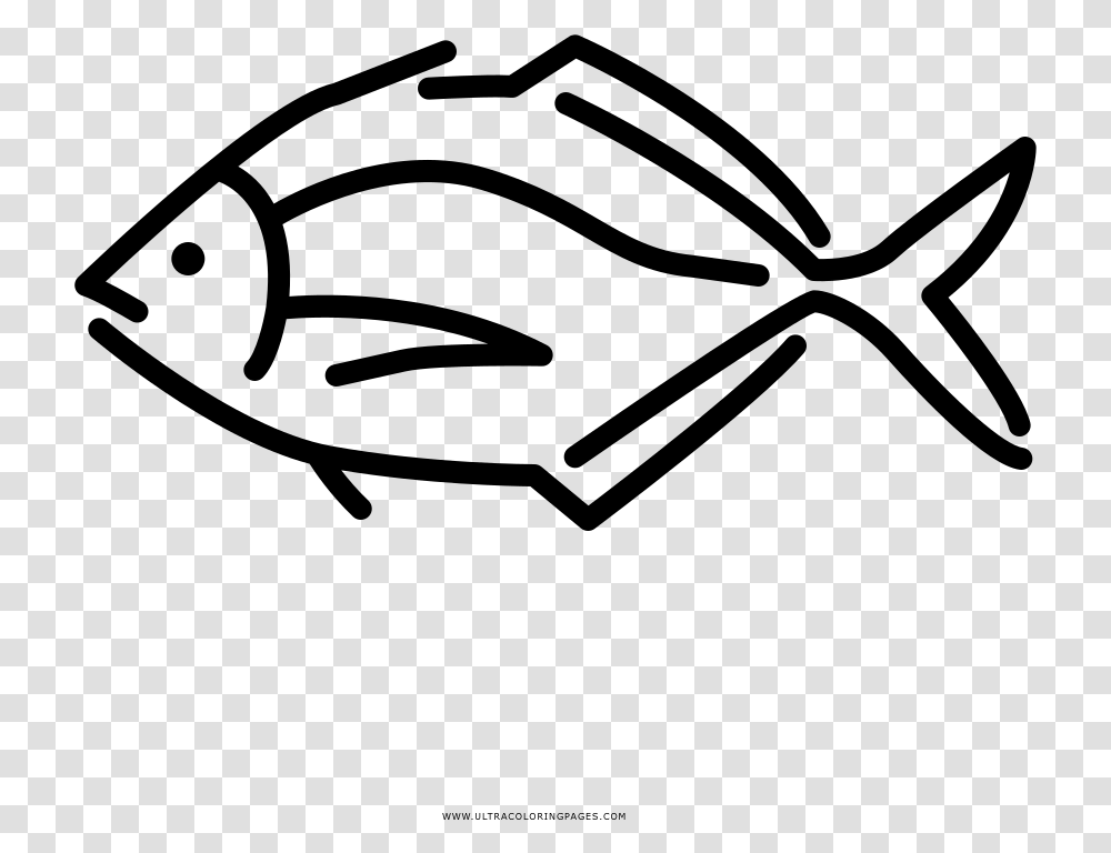 Tropical Fish Coloring, Gray, World Of Warcraft Transparent Png
