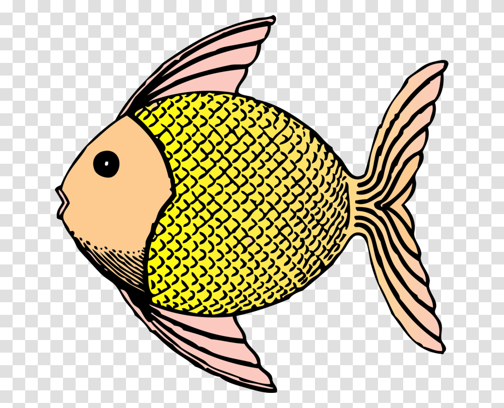 Tropical Fish Computer Icons Fish Fin Coloring Book Free, Bird, Animal, Angelfish, Sea Life Transparent Png