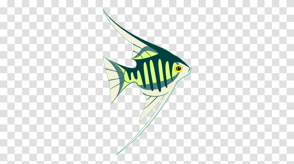 Tropical Fish Image, Animal, Sea Life Transparent Png