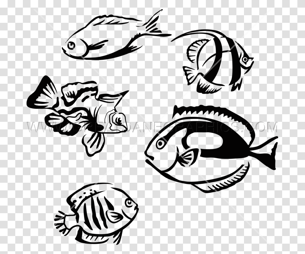 Tropical Fish Production Ready Artwork For T Shirt Printing, Animal Transparent Png