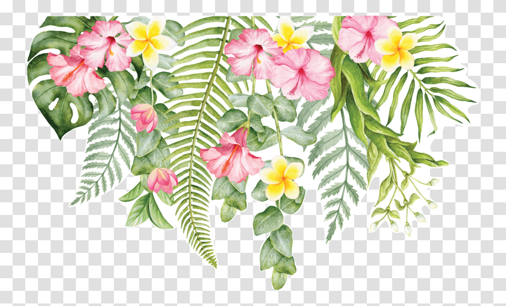 Tropical Floral Tropical Flower Frame, Plant, Blossom, Geranium, Pattern Transparent Png