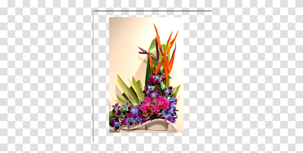 Tropical Flower Arrangements Picture Frame, Graphics, Art, Floral Design, Pattern Transparent Png