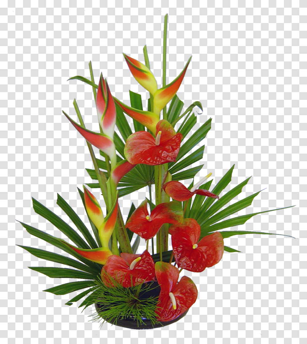 Tropical Flower Arrangements Slow Background Real Tropical Flowers, Plant, Ikebana, Art, Vase Transparent Png