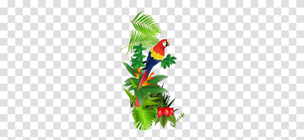 Tropical Flower Clip Art, Bird, Animal, Parrot, Macaw Transparent Png
