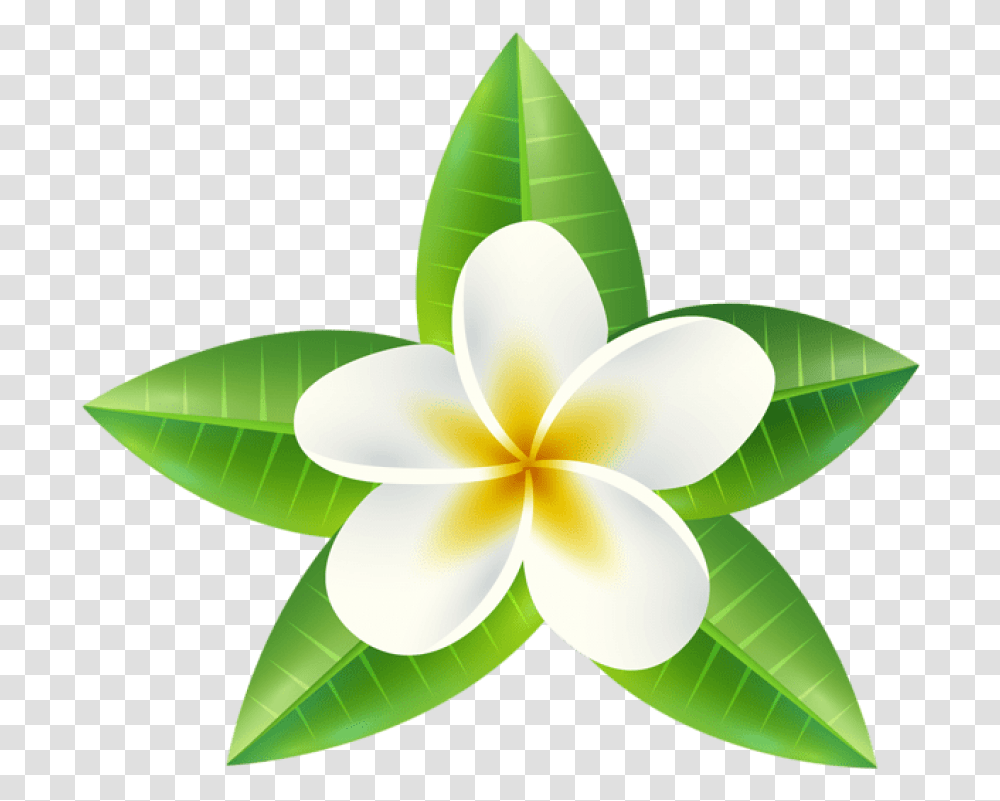 Tropical Flower Clip Art Image Gallery Yopriceville Free Tropical Flower Clip Art, Leaf, Plant, Lamp, Blossom Transparent Png