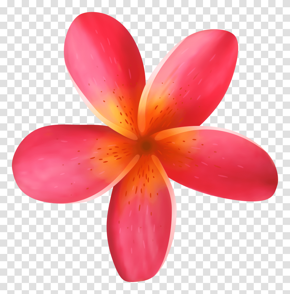 Tropical Flower Clip Art Transparent Png