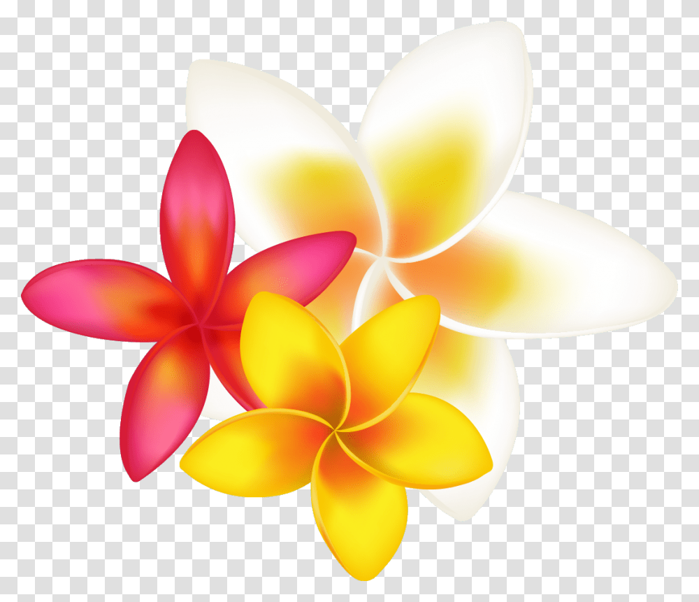 Tropical Flower Clipart Download Orange Tropical Flower Drawing, Petal, Plant, Blossom, Lamp Transparent Png