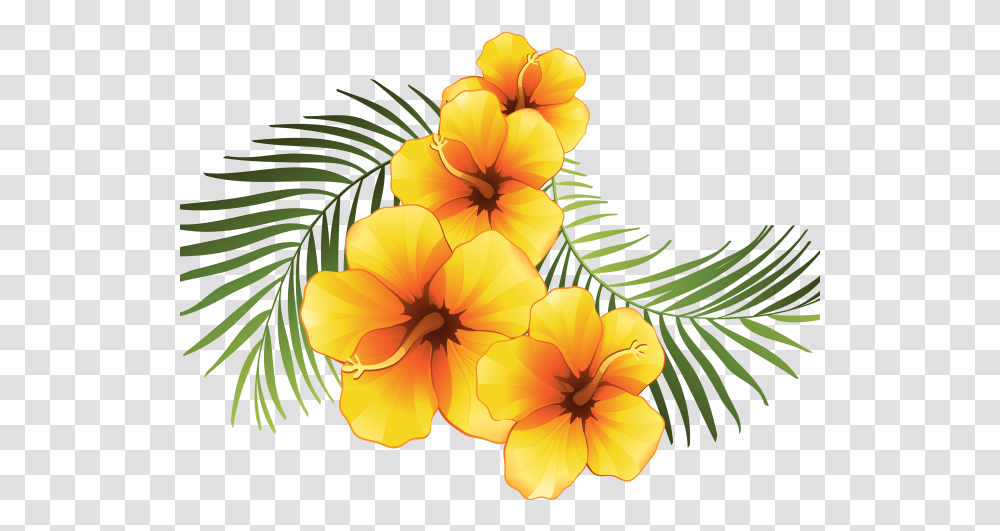 Tropical Flower Clipart Tropical Flower Vector, Plant, Blossom, Graphics, Hibiscus Transparent Png