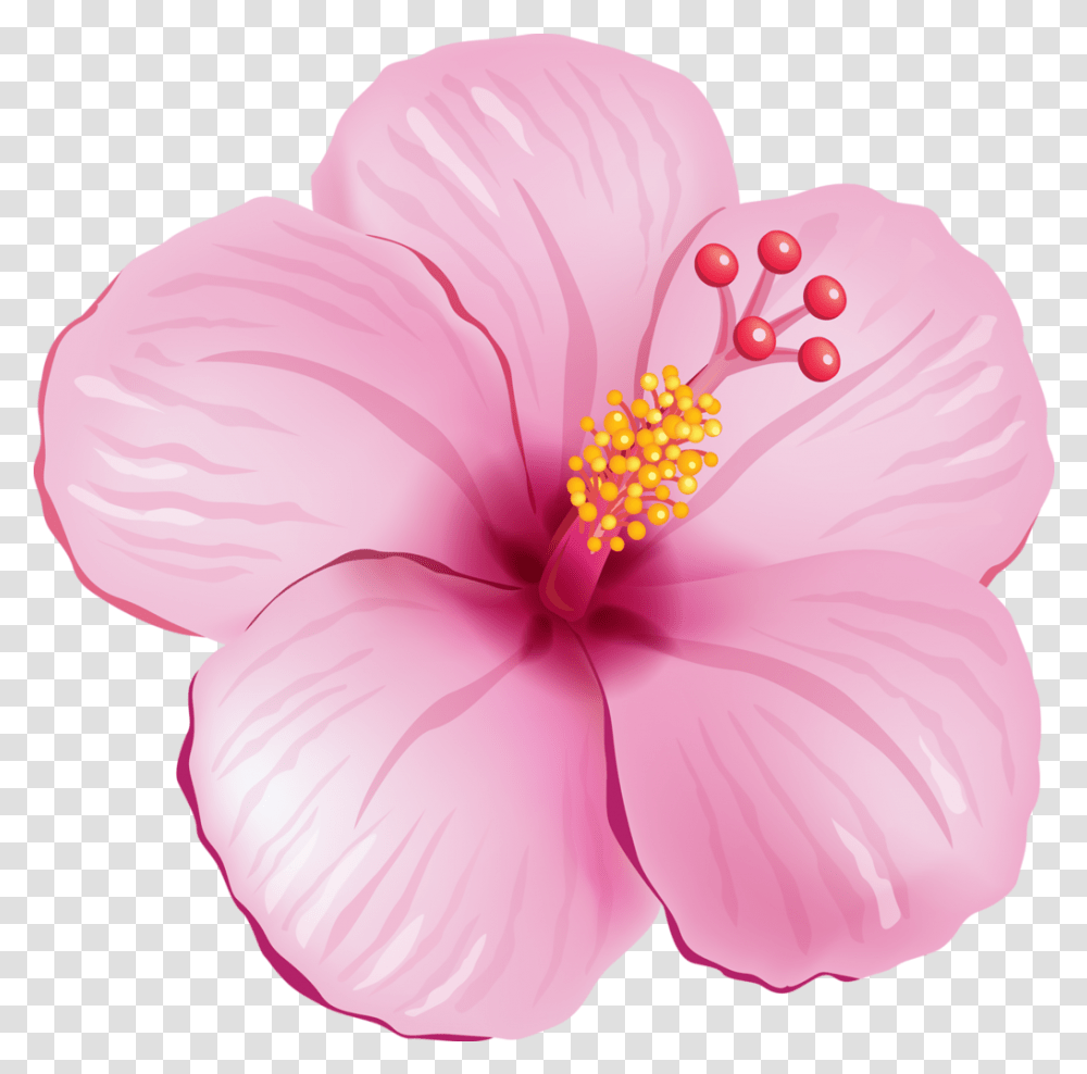 Tropical Flower Clipart Tropical Pink Flower Background Tropical Flower Clipart, Hibiscus, Plant Transparent Png