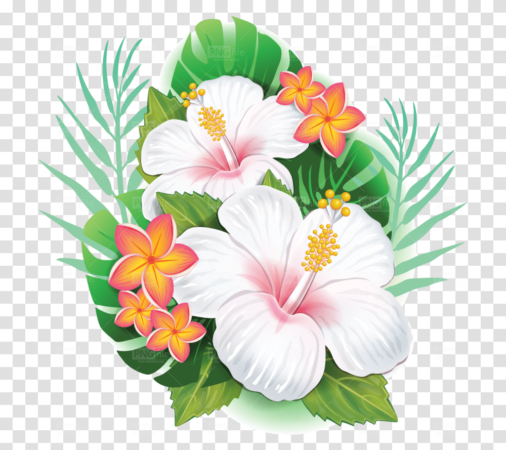 Tropical Flower Free Download Free Tropical Flower, Plant, Hibiscus, Blossom, Graphics Transparent Png