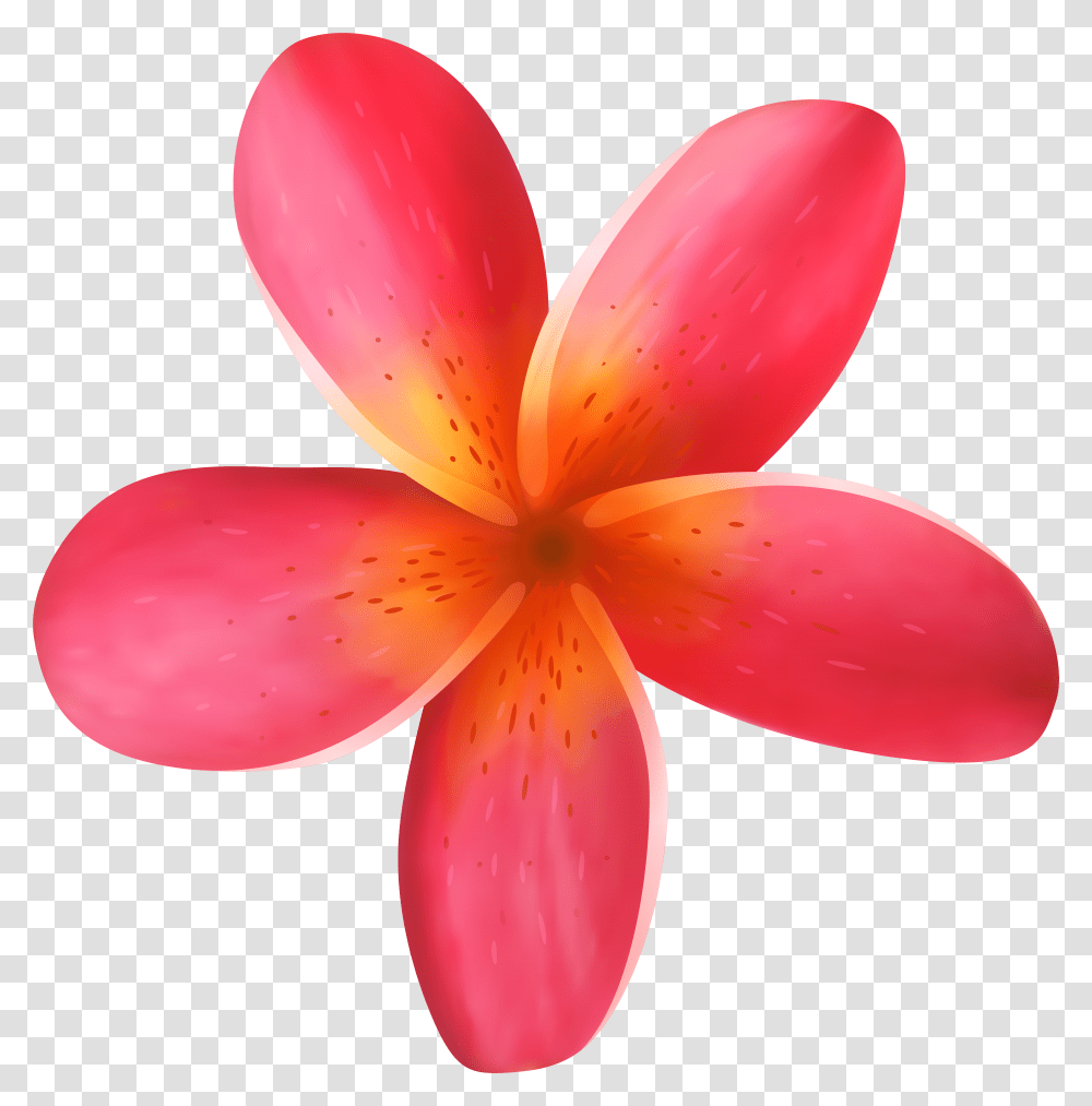 Tropical Flower Photo Transparent Png