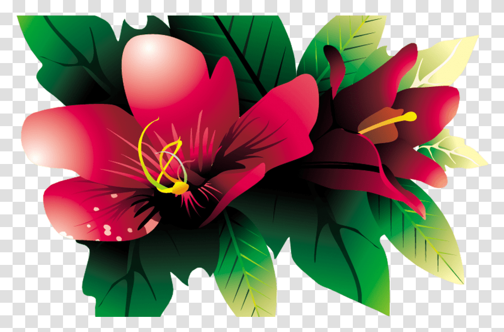 Tropical Flower, Plant, Pattern, Graphics, Art Transparent Png