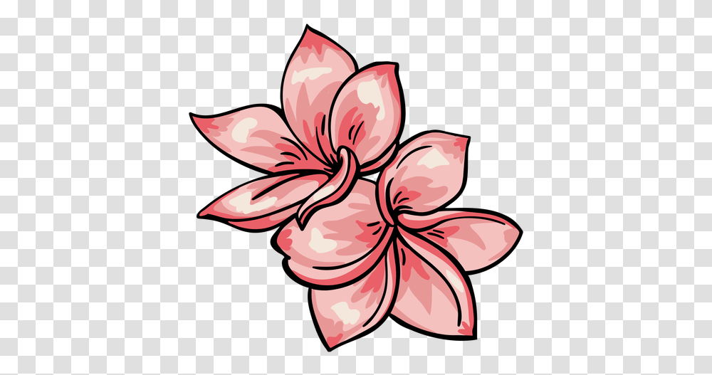 Tropical Flower Plumeria & Svg Vector File Lily, Plant, Blossom, Hibiscus, Amaryllis Transparent Png